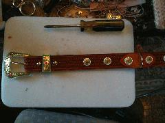 Dog-Collars-CanyonBuckleandConchos.jpg